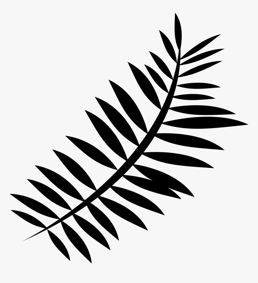 Black Fern Leaf Png, Transparent Png, Free Download