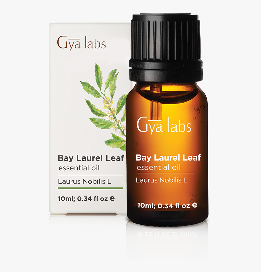 Eucalyptus - Essential Oil Ylang Ylang, HD Png Download, Free Download