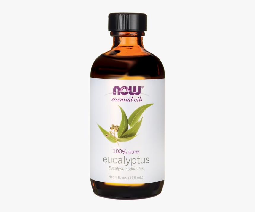 Now, 100% Pure Eucalyptus Essential Oil, Aromatherapy,, HD Png Download, Free Download