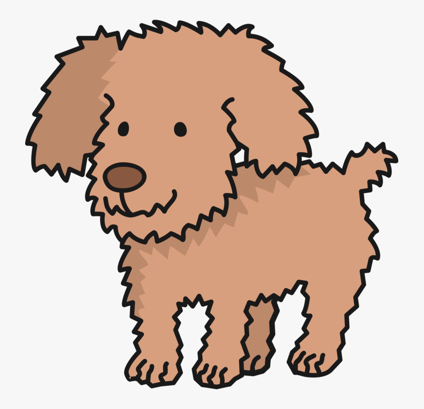 Toy Dog,poodle,lagotto Romagnolo - Toy Dog Clipart, HD Png Download, Free Download