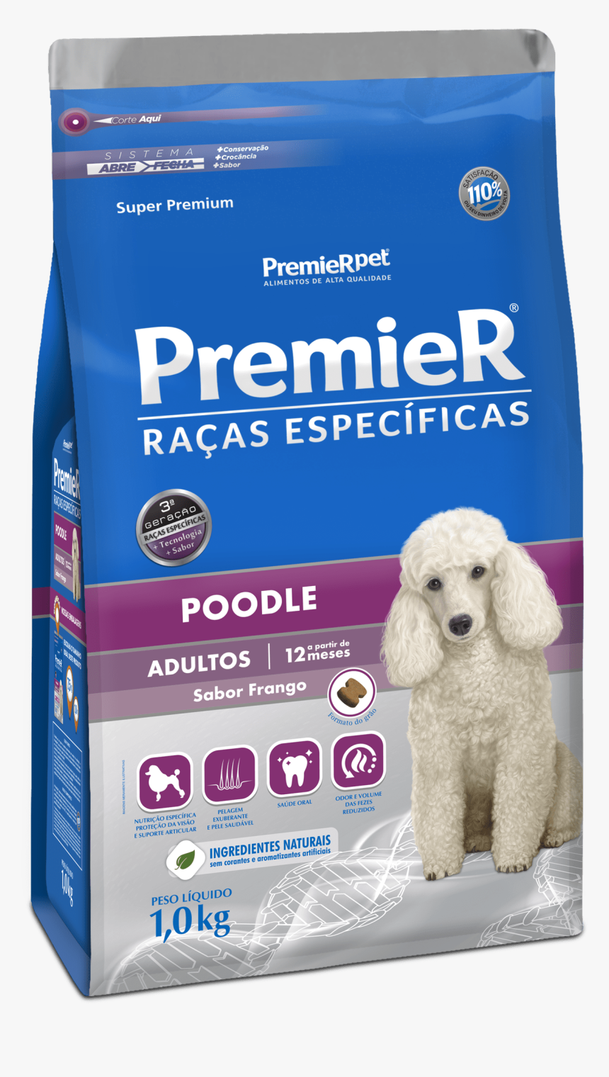 Premier Raças Especificas Poodle, HD Png Download, Free Download