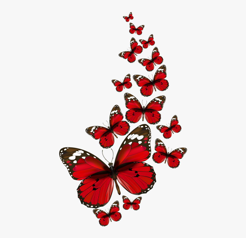 Papillons Red Butterfly, Butterfly Kisses, Butterfly - Transparent Background Red Butterfly, HD Png Download, Free Download