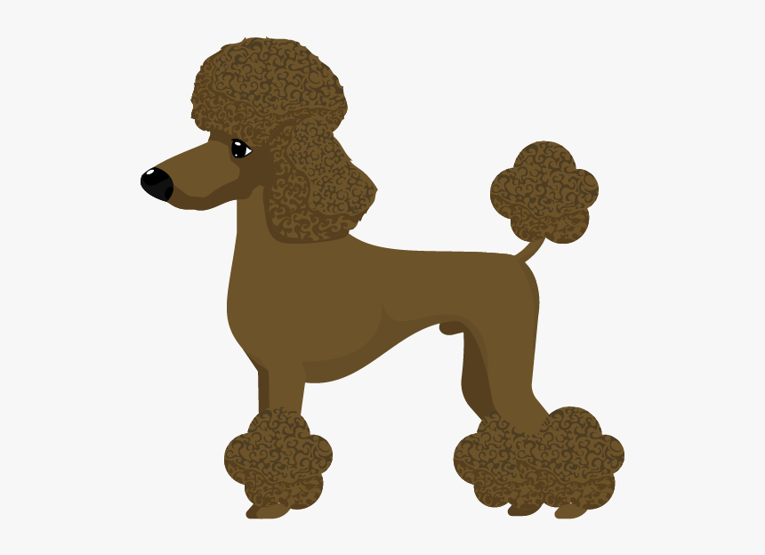 Standard Poodle, HD Png Download, Free Download