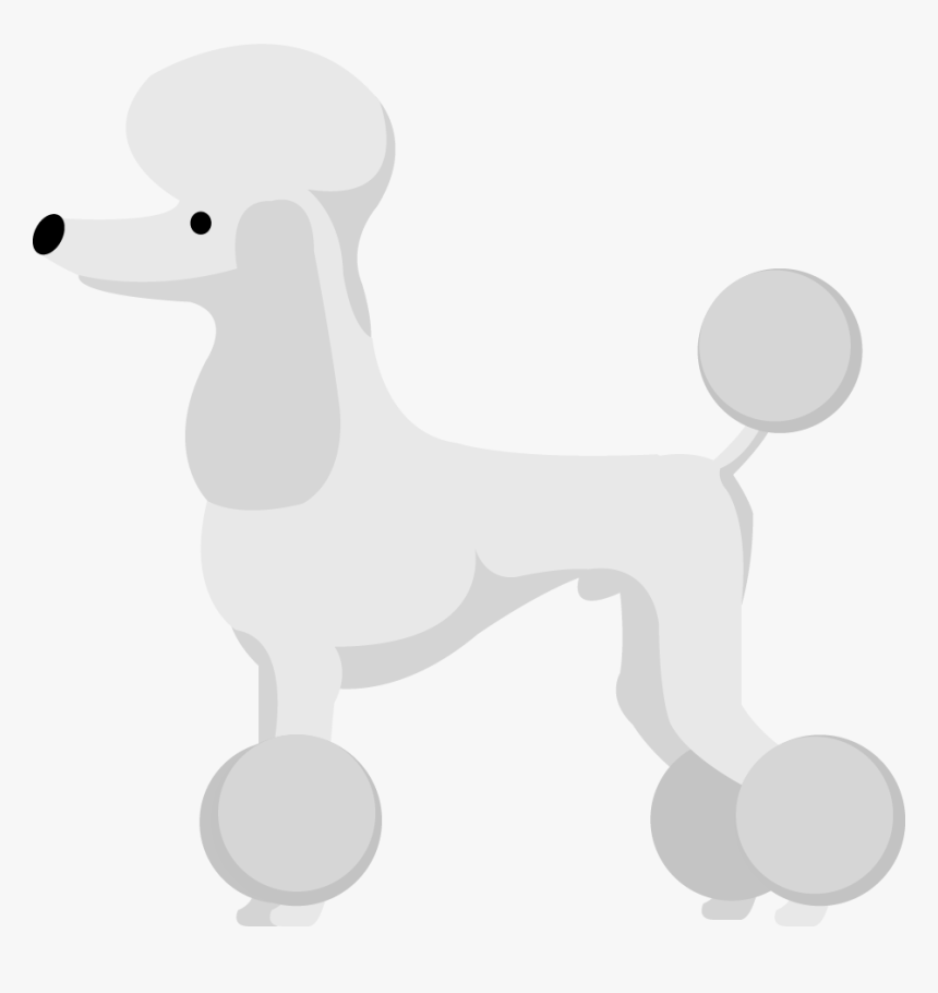 Miniature Poodle, HD Png Download, Free Download