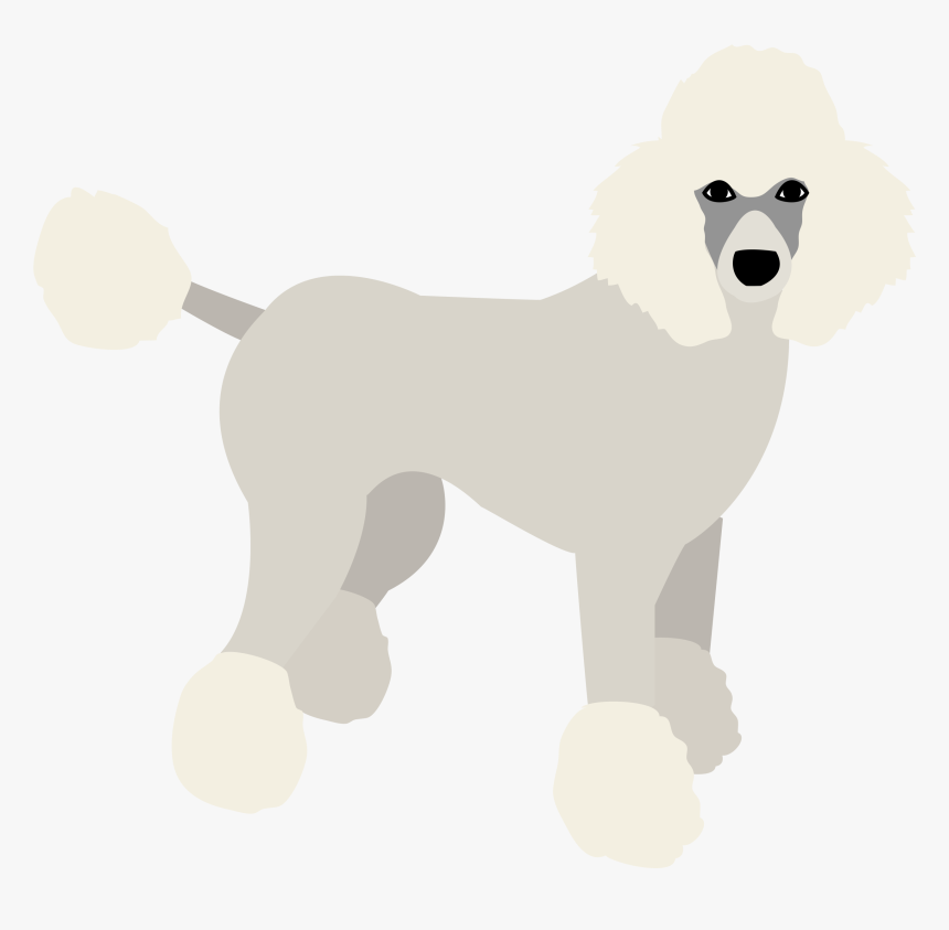 Standard Poodle, HD Png Download, Free Download