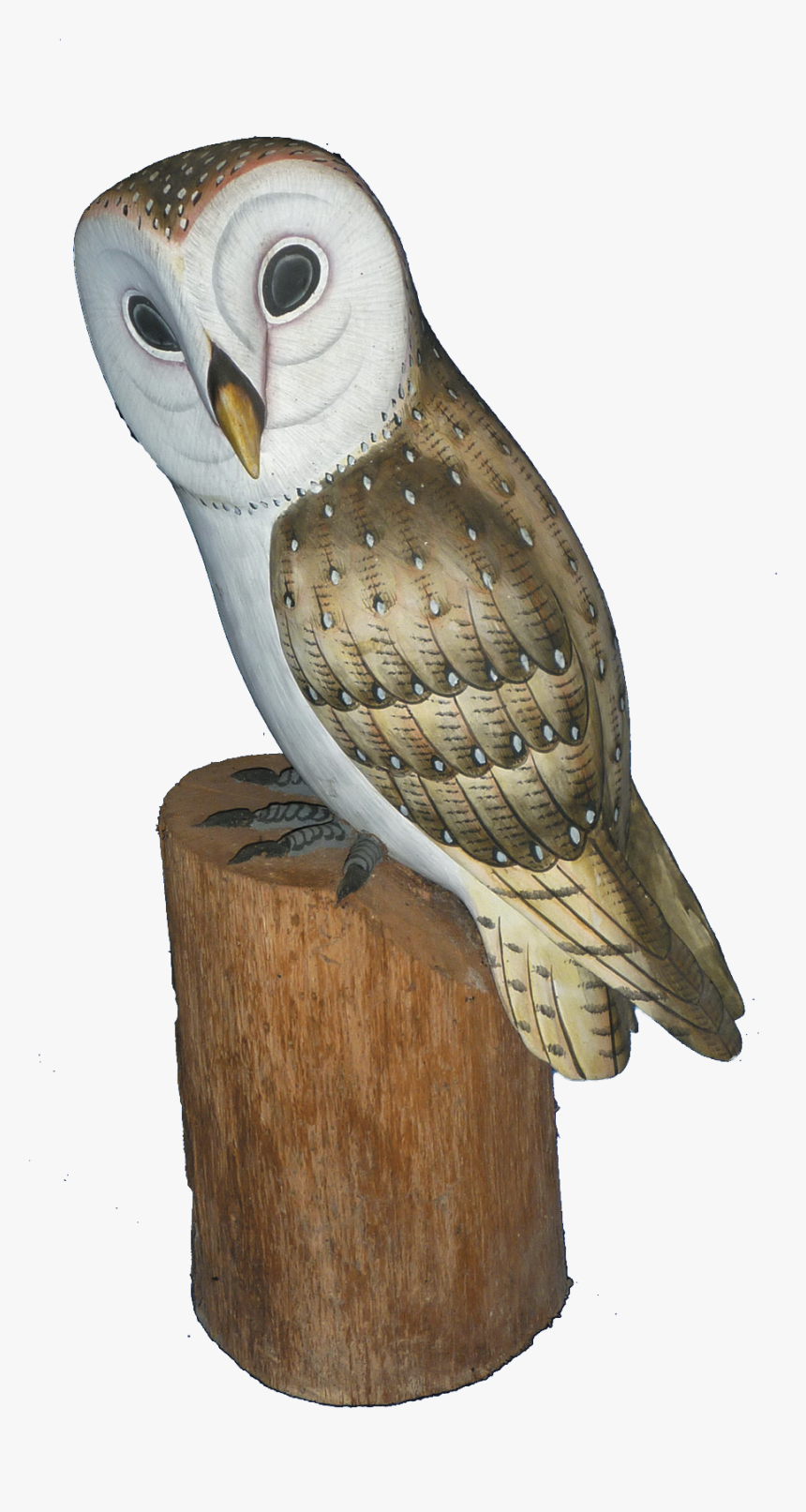 Log In To Your Account - Barn Owl, HD Png Download, Free Download