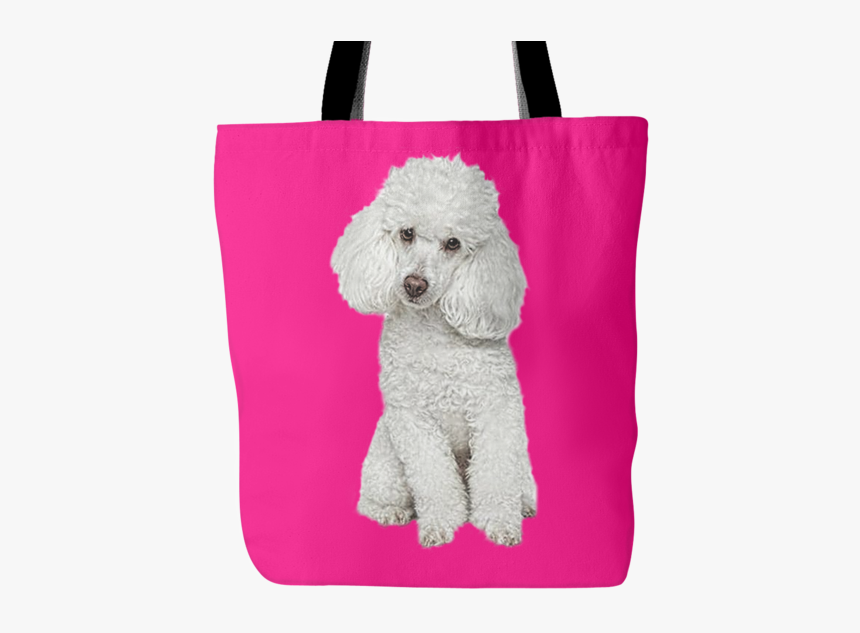 Standard Poodle, HD Png Download, Free Download