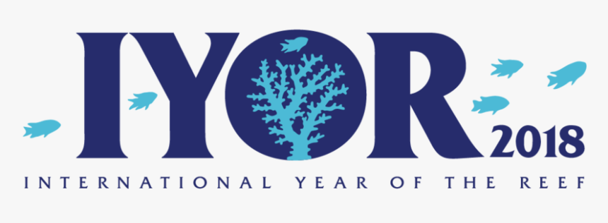 Logo Iyor Standard - Un International Year 2018, HD Png Download, Free Download