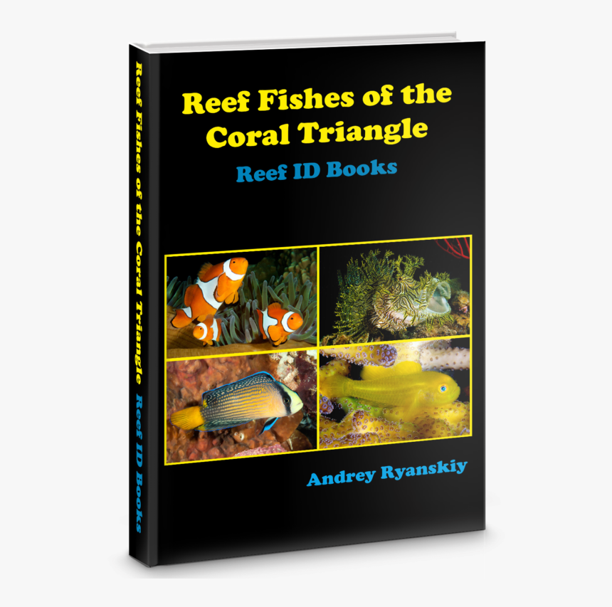 Coral Triangle Tropical Fish Guide, HD Png Download, Free Download