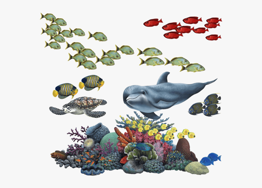 Coral Reef Tropical Fish Mural Wall Decal Sticker Combo - Coral Reef Sticker, HD Png Download, Free Download
