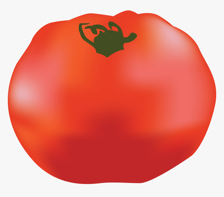 Popular Tomato Guide Part, HD Png Download, Free Download