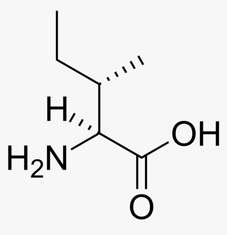 Selenocysteine R Or S, HD Png Download, Free Download