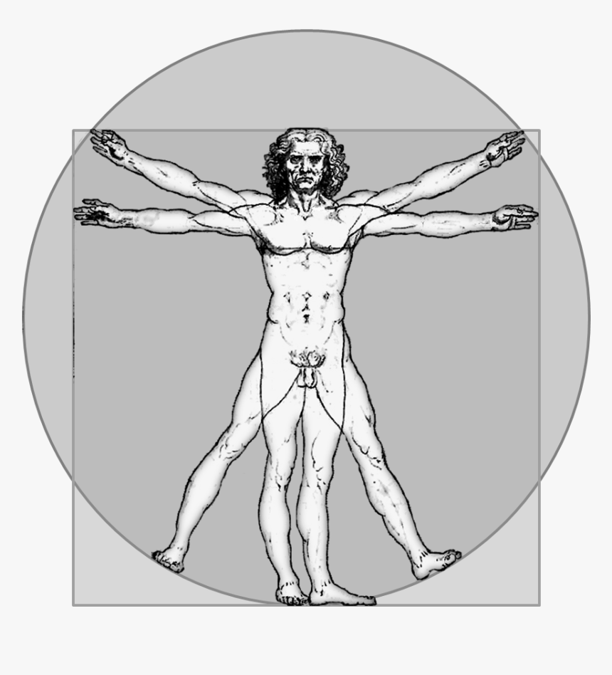 Da Vinci Vitruvian Man Png, Transparent Png, Free Download