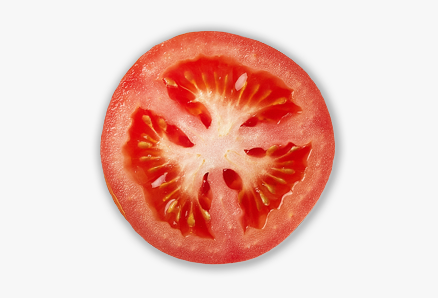 Tomato Slice Png Top View, Transparent Png, Free Download