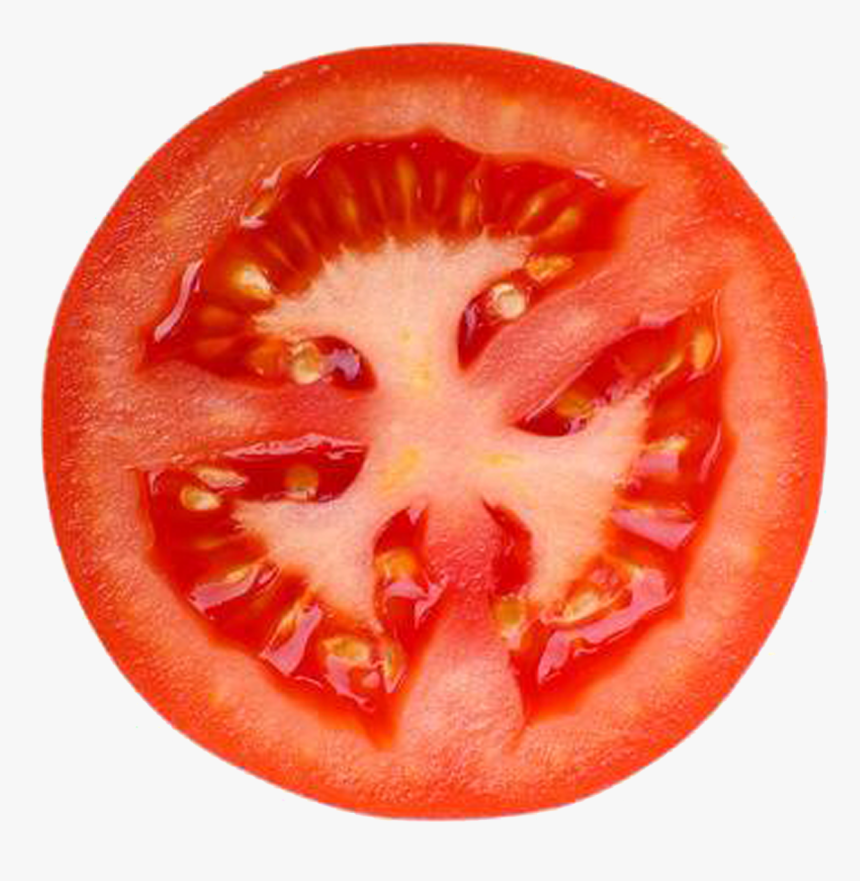 Fresh Slice Of Tomato, HD Png Download, Free Download