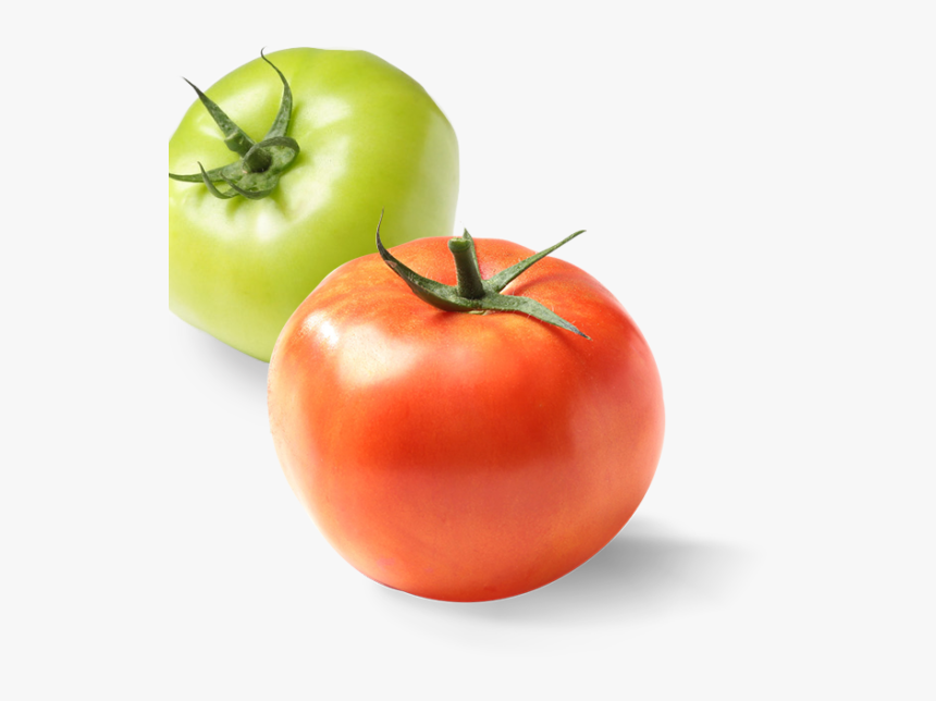 Plum Tomato, HD Png Download, Free Download