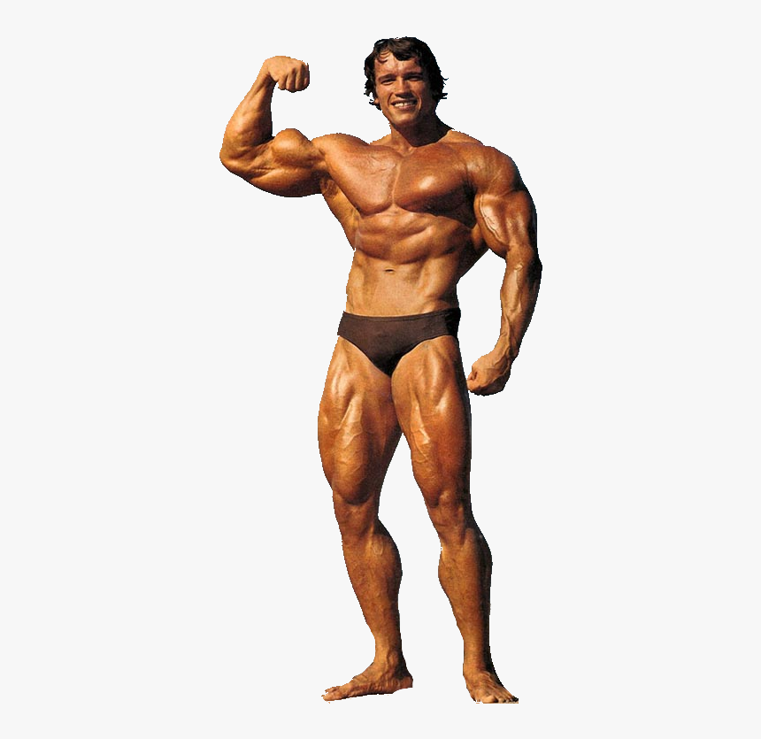Thumb Image - Arnold Schwarzenegger Bodybuilding Png, Transparent Png, Free Download