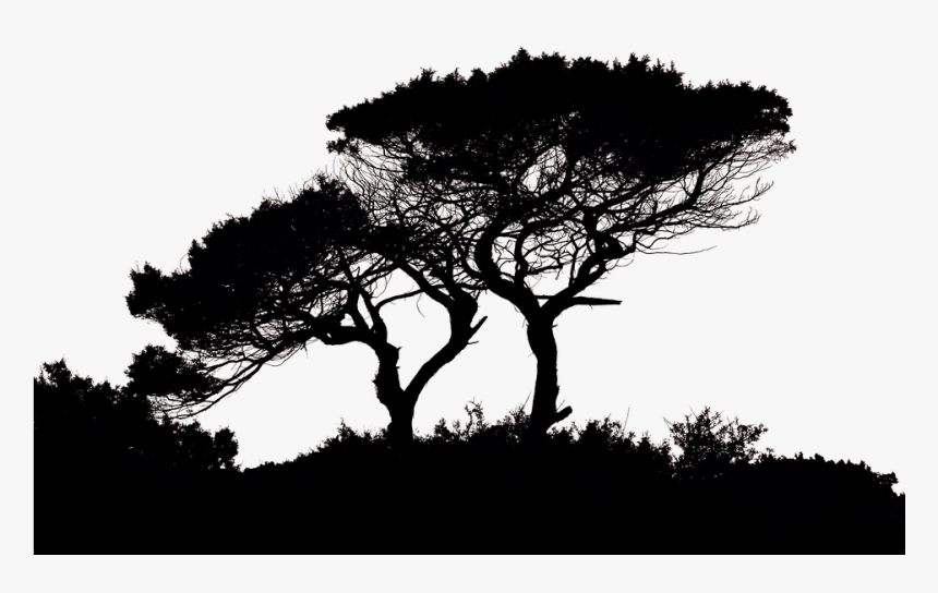 Landscape Silhouette, HD Png Download, Free Download