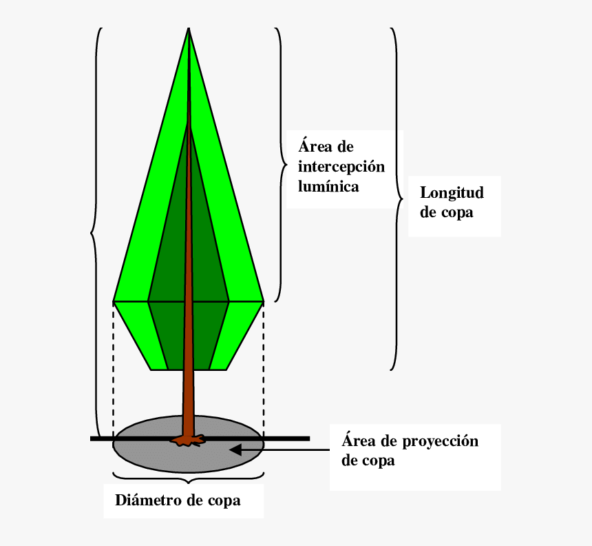 Diagram, HD Png Download, Free Download