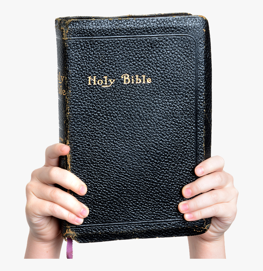 Hands Holding Up The Bible - Copyright Free Images Of Bible, HD Png Download, Free Download