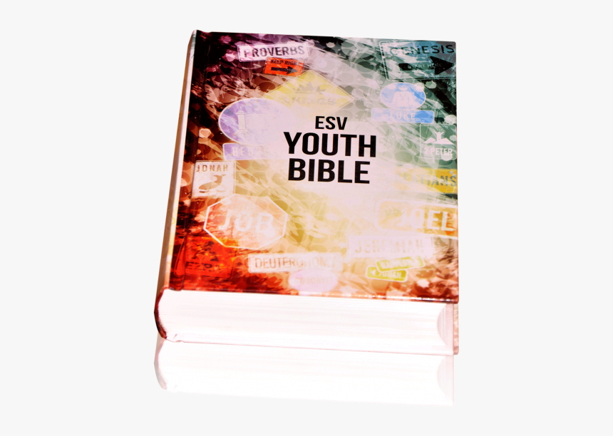 Psbesv Youth Bible - Flyer, HD Png Download, Free Download