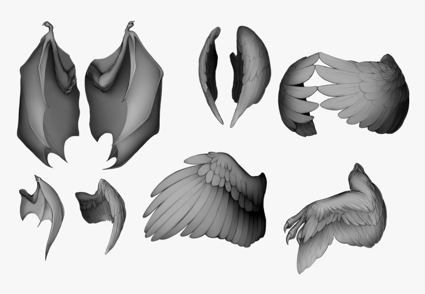 Furvilla Base Wings, HD Png Download, Free Download