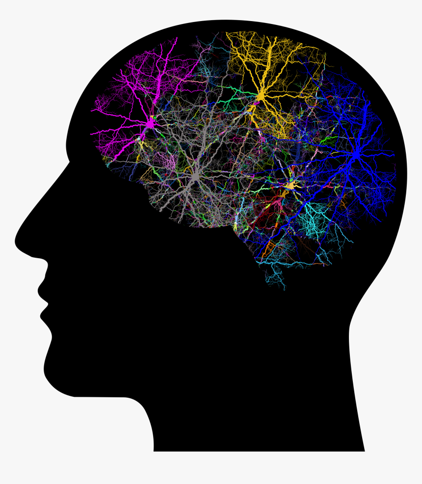 Transparent Purple Lightning Png - Brain Neuropeptides, Png Download, Free Download