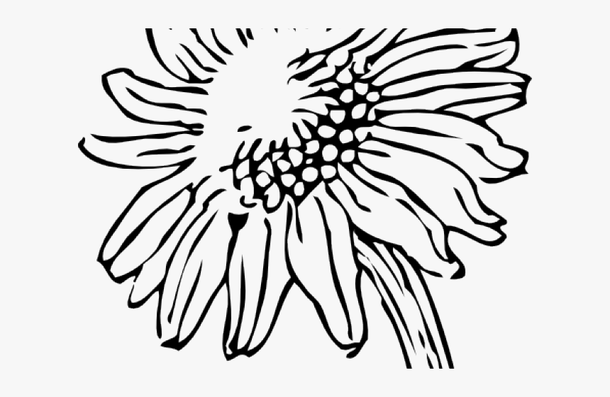 Daisy Clipart Daisey - Pillow Clipart Black And White, HD Png Download, Free Download