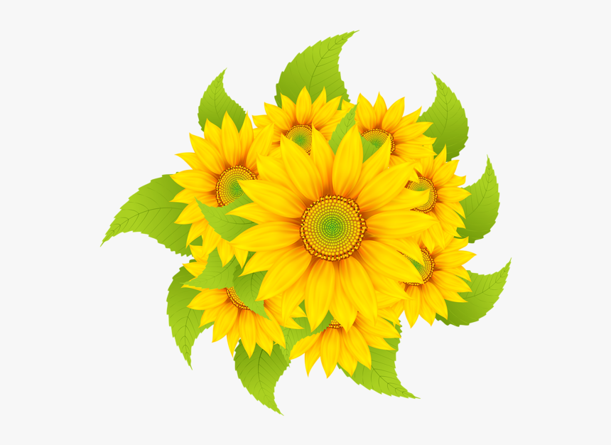 Transparent Sunflower Clipart - گل کارتونی, HD Png Download, Free Download