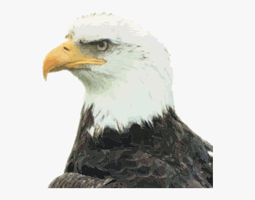 Eagle Svg Clip Arts - Eagle Head Png, Transparent Png, Free Download