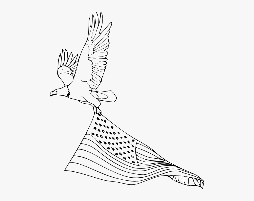 Bald Eagle Flying Drawing, HD Png Download, Free Download