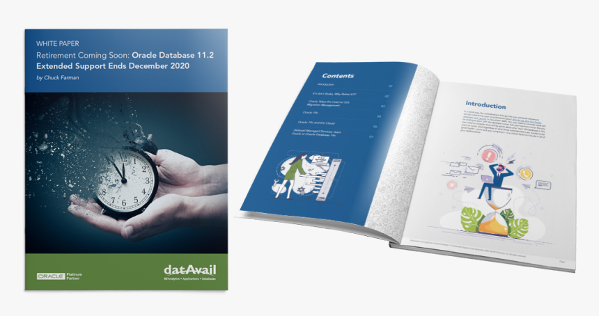 Datavail White Paper - Brochure, HD Png Download, Free Download