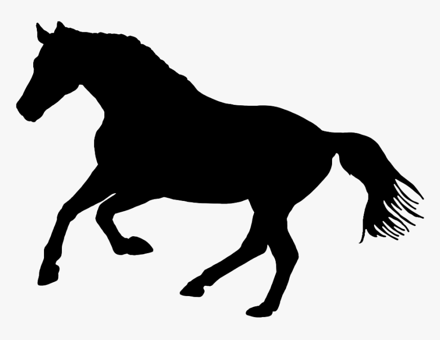 Black Silhouette Of Horse In Nature - Black And White Horse Logo, HD Png Download, Free Download