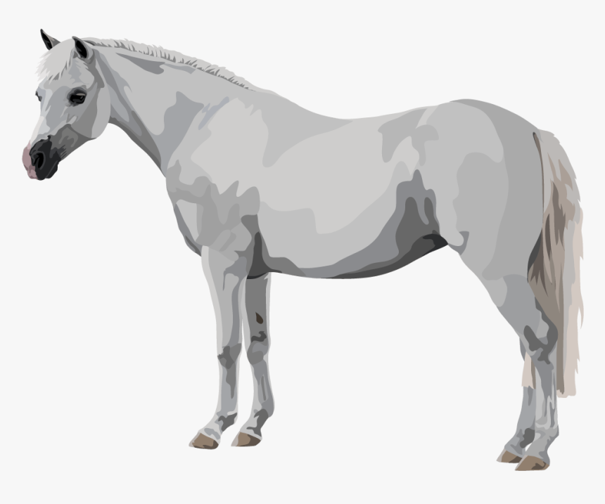 Mustang Horse , Png Download - Stallion, Transparent Png, Free Download