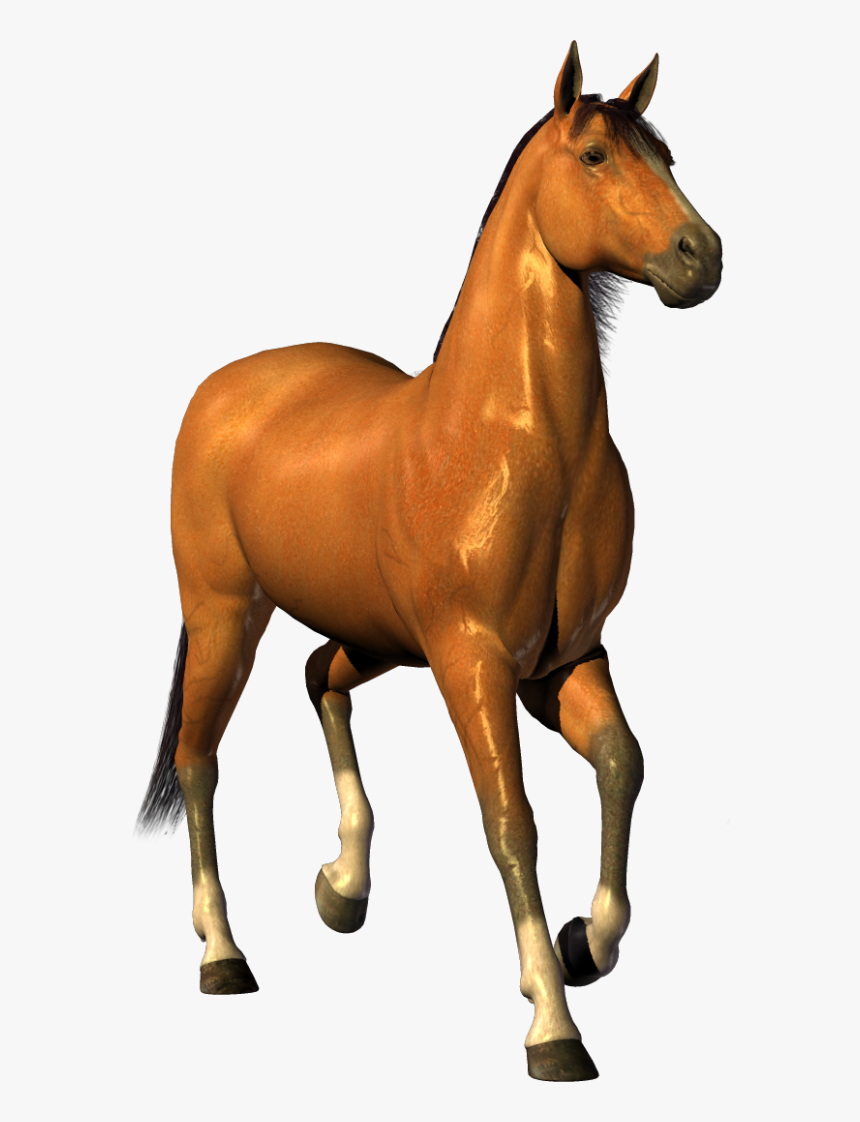 Horse Png Free Image Download - Horse Clip Art On Transparent Background, Png Download, Free Download