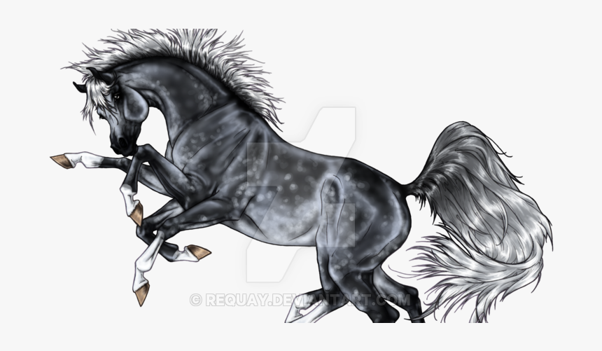 Stallion, HD Png Download, Free Download