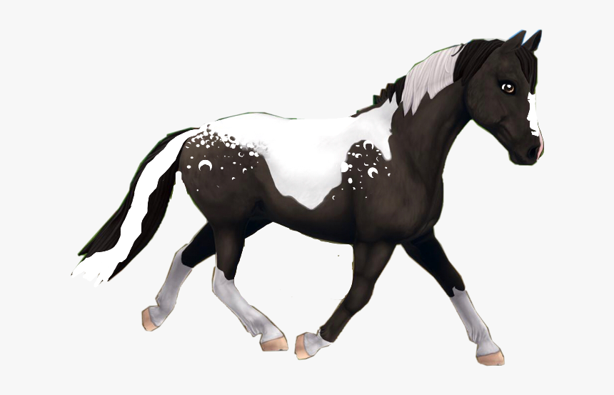 #sso #horse #blackandwhite - Sso Horse Png, Transparent Png, Free Download