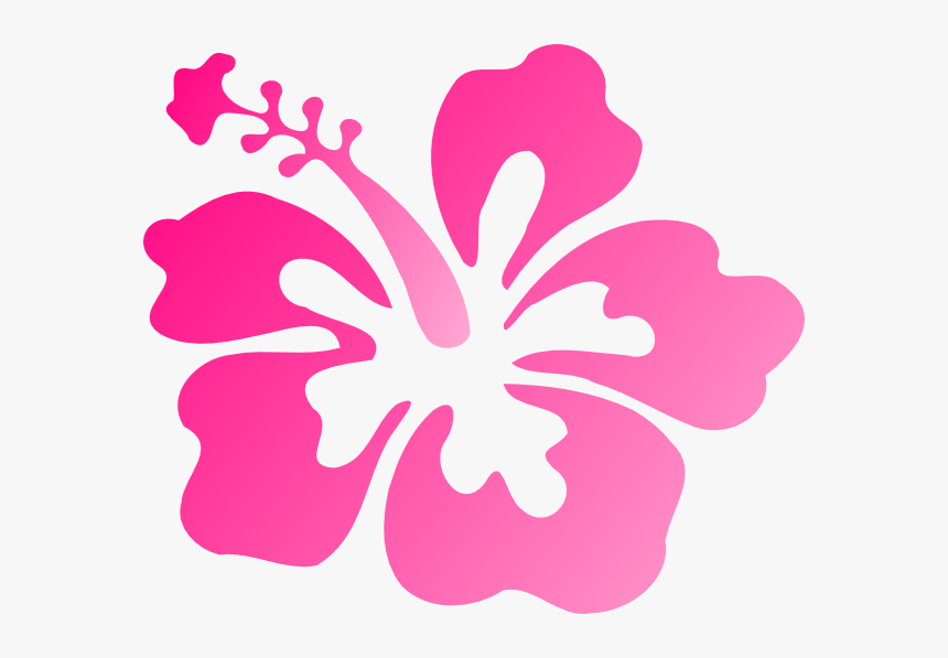 Hibiscus Pink Svg Clip Arts - Hibiscus Flower Clip Art Black And White, HD Png Download, Free Download