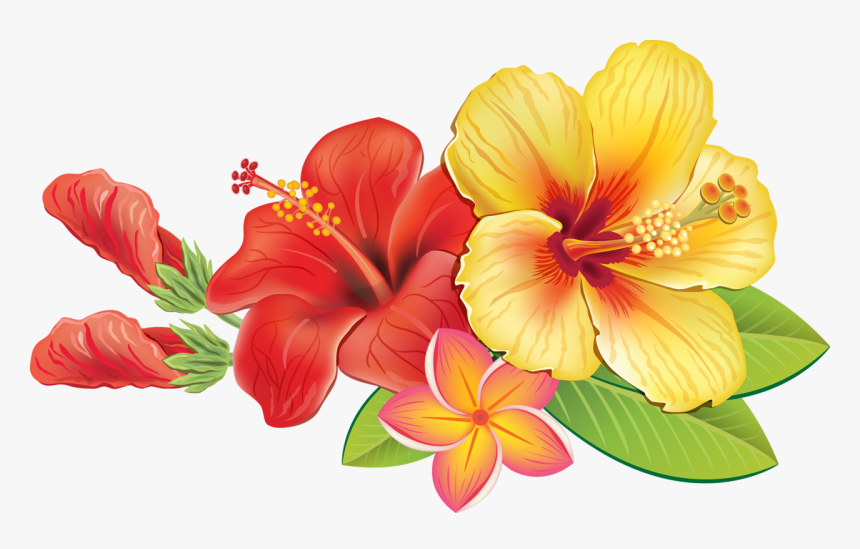 Hawaiian Tropical Flowers Png, Transparent Png, Free Download