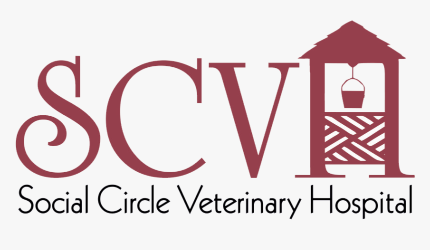 Social Circle Veterinary Hospital - Nisk, HD Png Download, Free Download