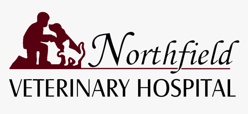 Northfield Veterinary Hospital Ohio, HD Png Download, Free Download