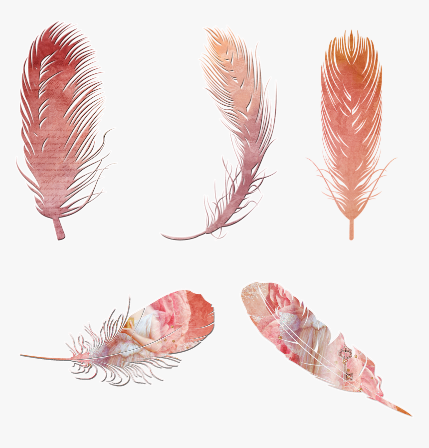 Pink Boho Feather Clipart, HD Png Download, Free Download