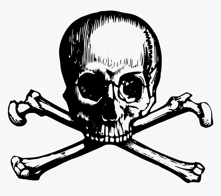Skull And Crossbone Clipart Webweaver - Skull And Crossbones Drawing Png, Transparent Png, Free Download