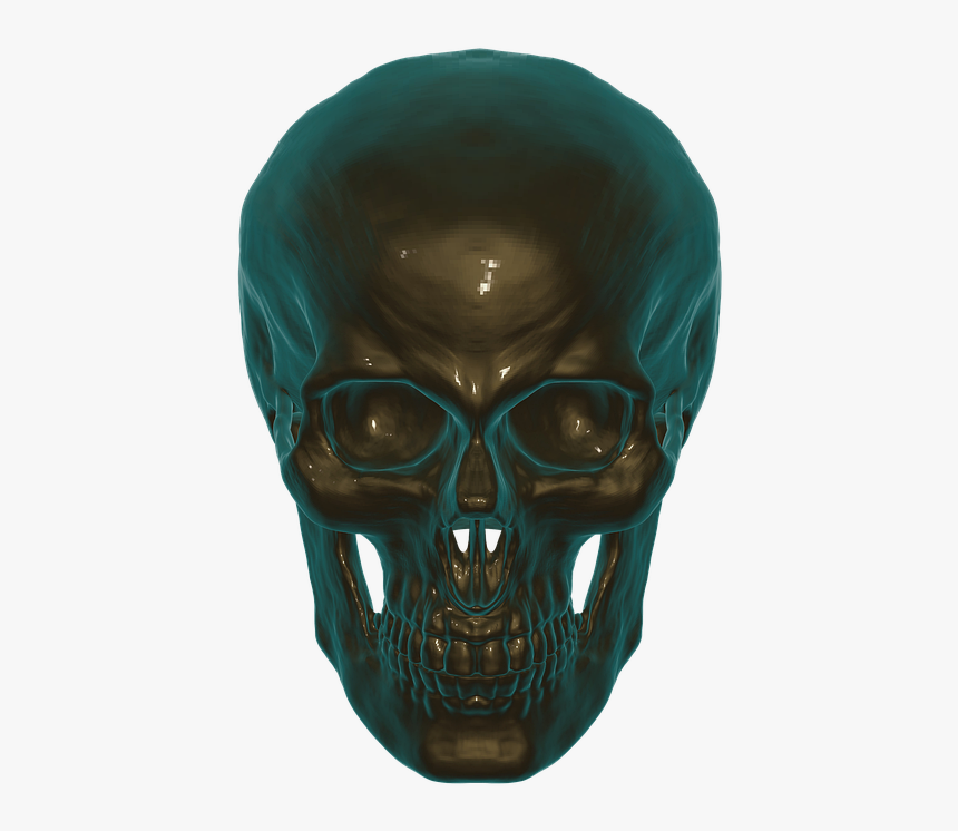 Skull Head 3d Png, Transparent Png, Free Download