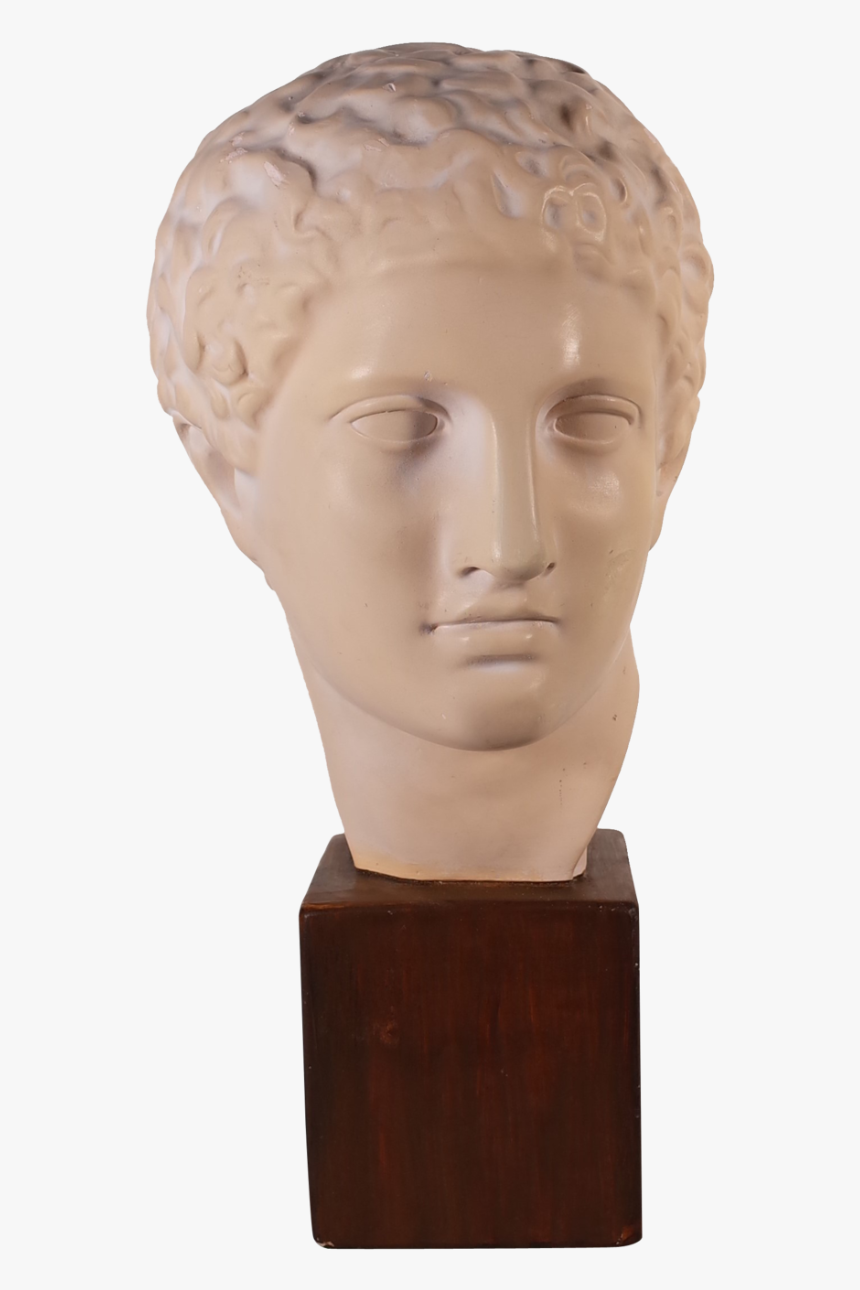 Plaster Bust Of Roman Male - Bust, HD Png Download, Free Download