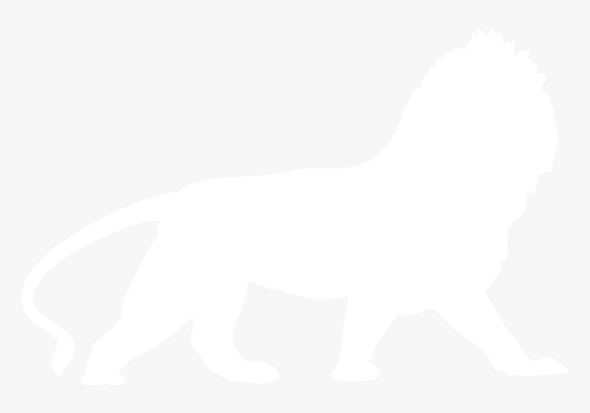 Lion, HD Png Download, Free Download