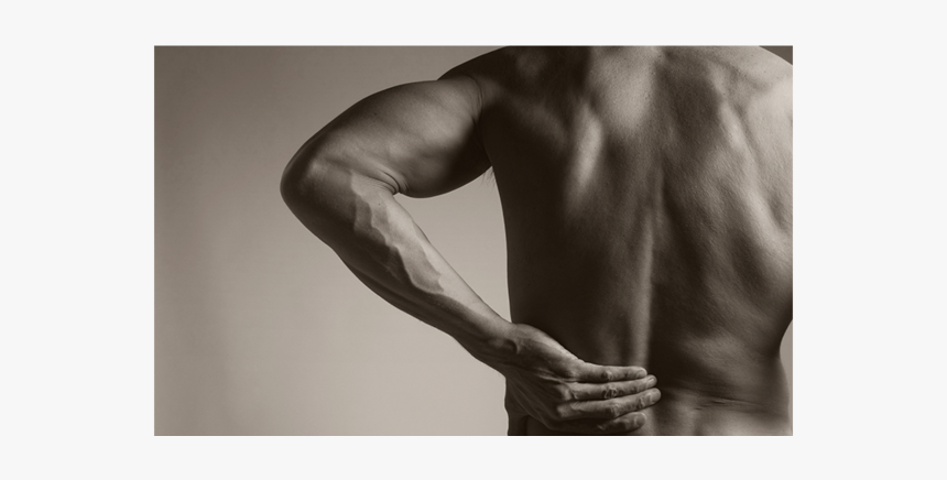 Knock Out Low Back Pain, HD Png Download, Free Download