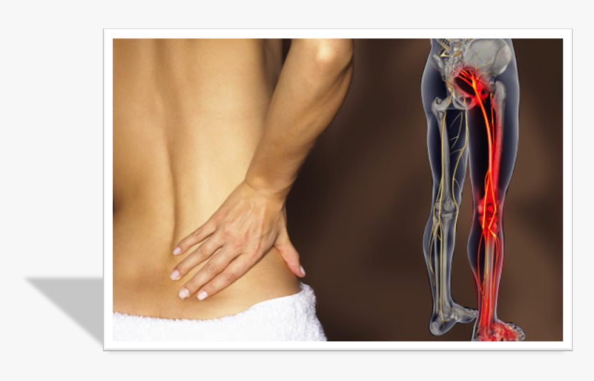 Lowback, HD Png Download, Free Download