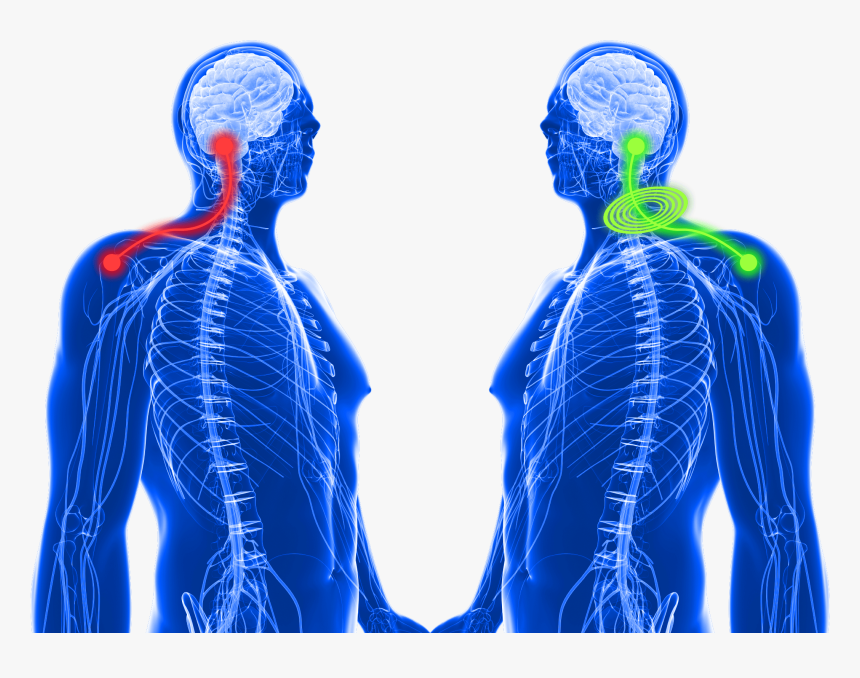 How Tens Pain Relief Works On Shoulder Pain - Illustration, HD Png Download, Free Download