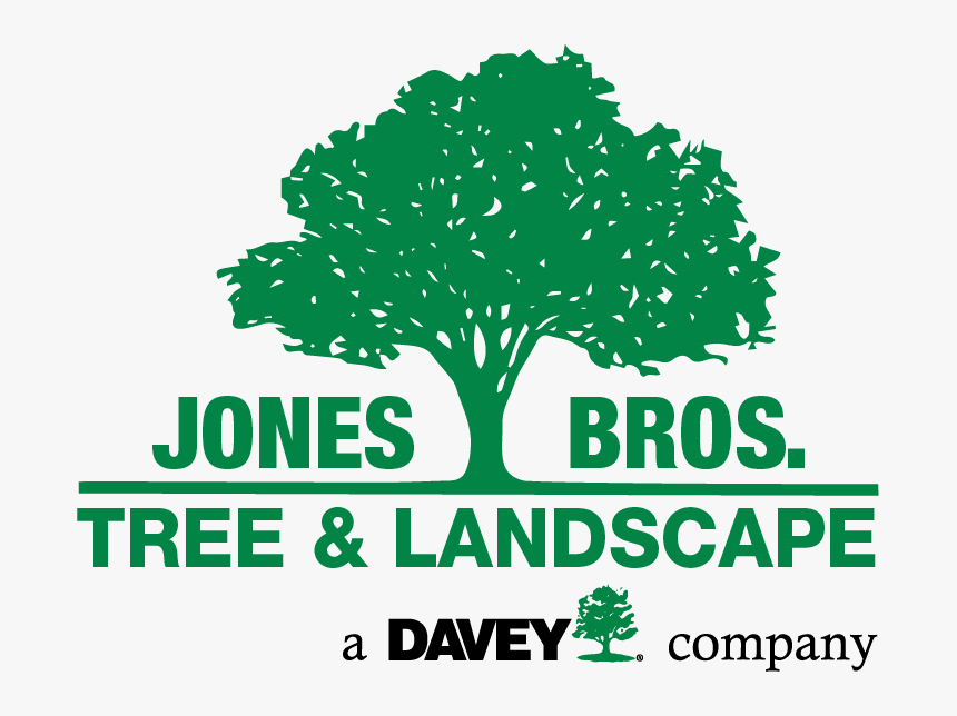 Tree & Landscape - Davey Tree Service, HD Png Download, Free Download